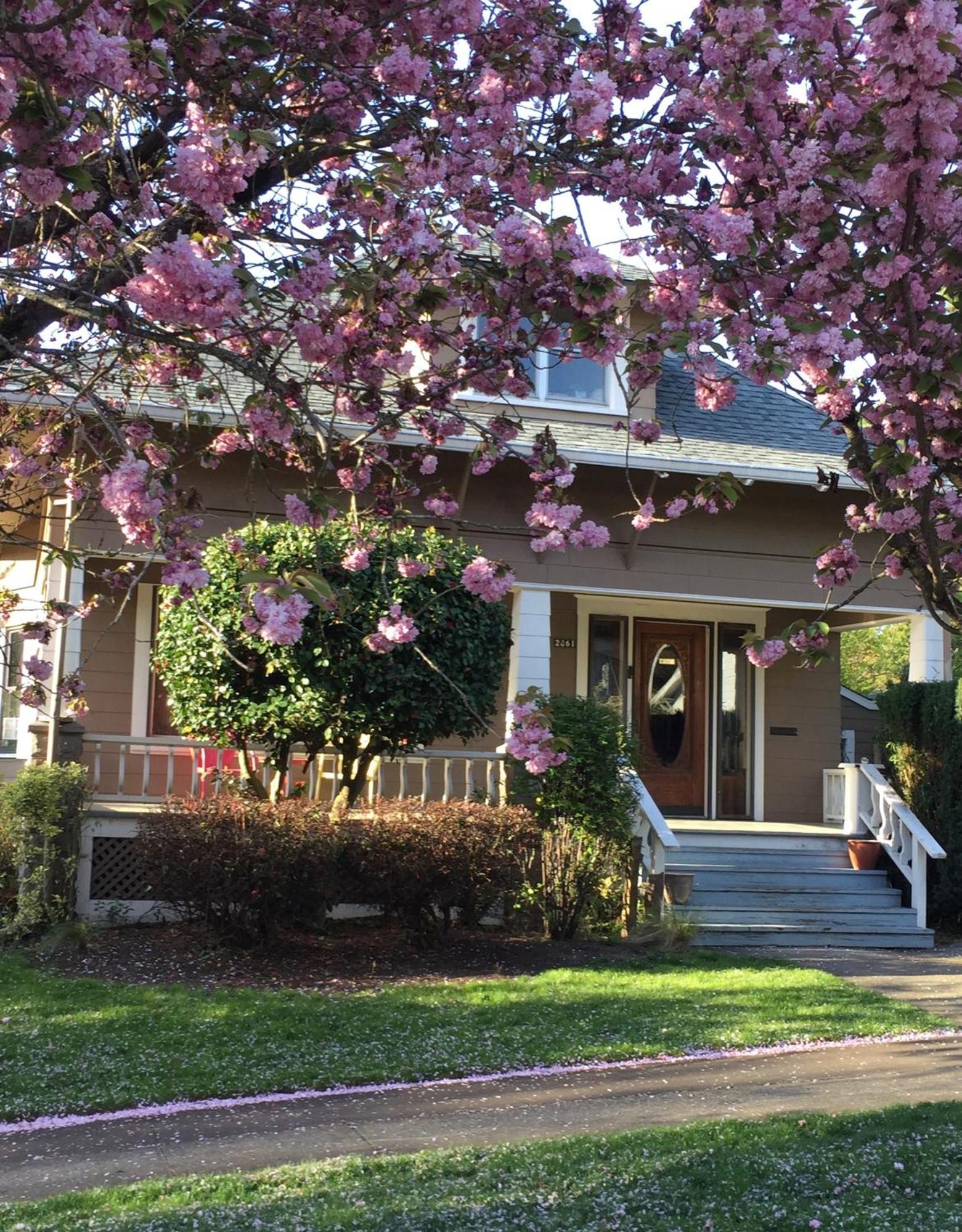 Holiday home Southeast Comfy & Eclectic Craftsman *